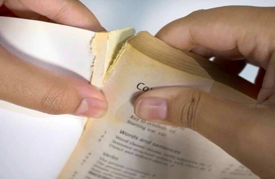 turn  an old book into an origami chicken